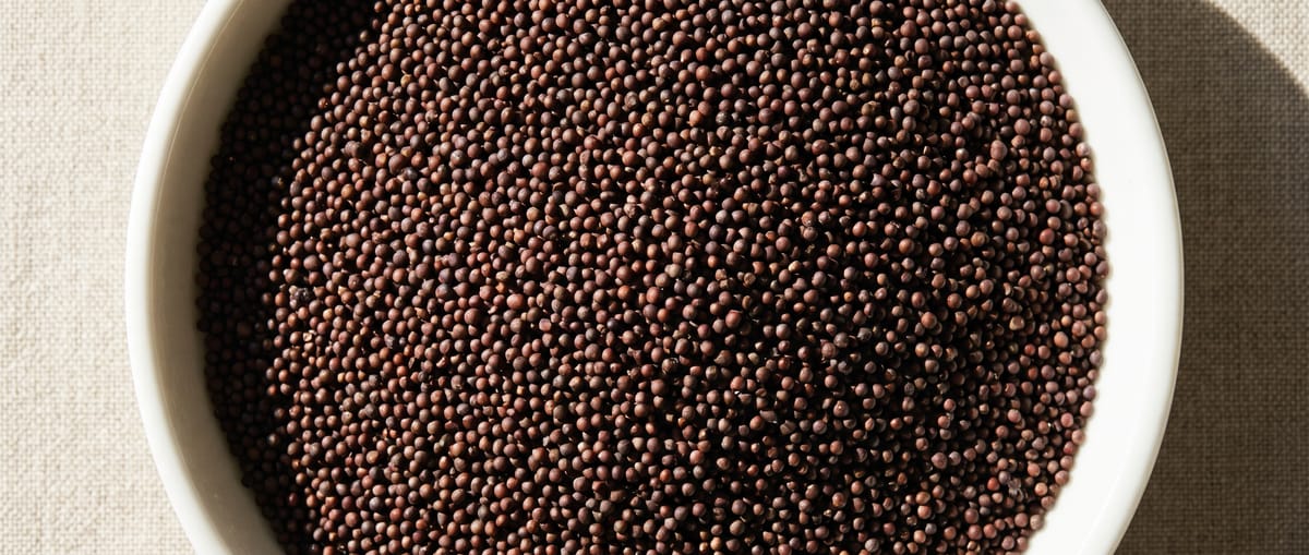 Macro photograph of a dense field of small matte broccoli seeds